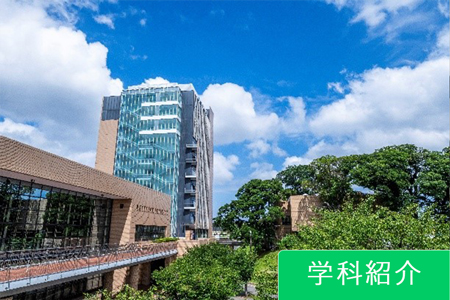 学科紹介