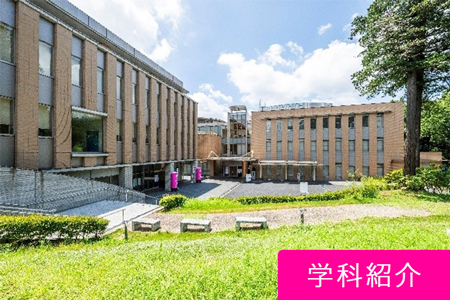 学科紹介