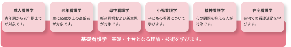 臨地実習 学びの領域