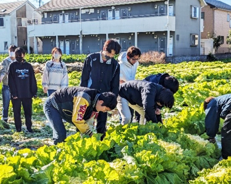 写真11、地域理解実習Ⅳ(八潮市 山東菜の収穫体験)