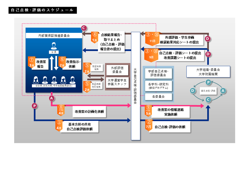 自己点検･評価のスケジュール