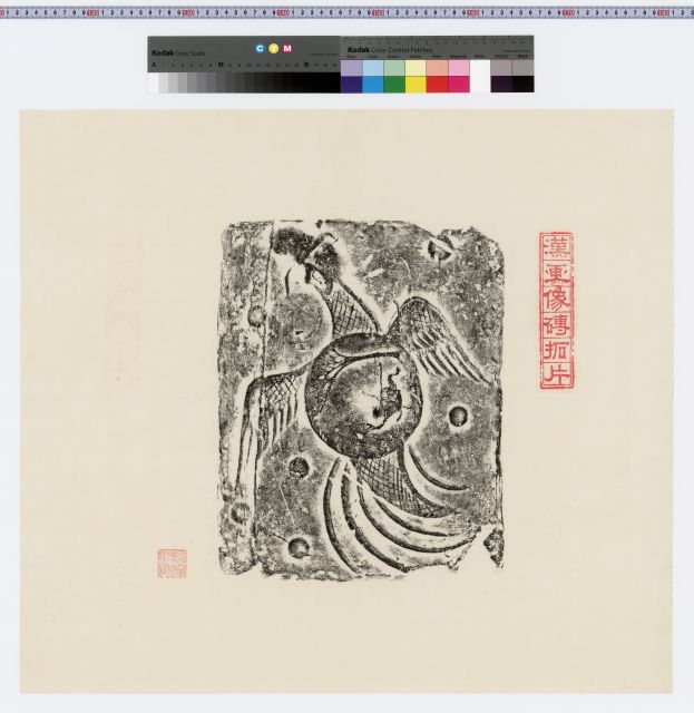 g007-1091