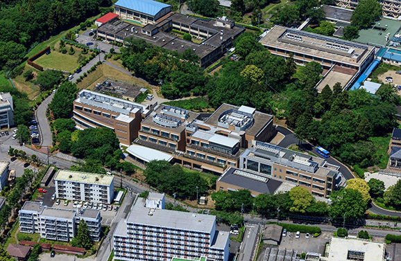 chiba2