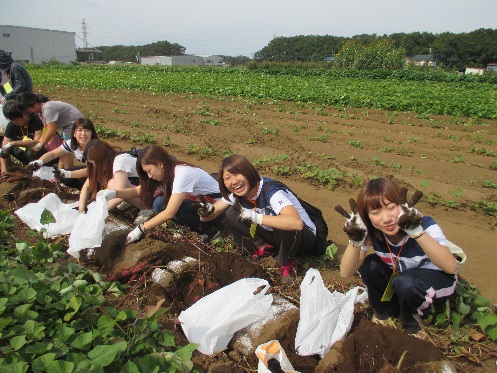 三芳町「世界一のいも掘りまつり」に、こども教育学科の１年生が参加しました