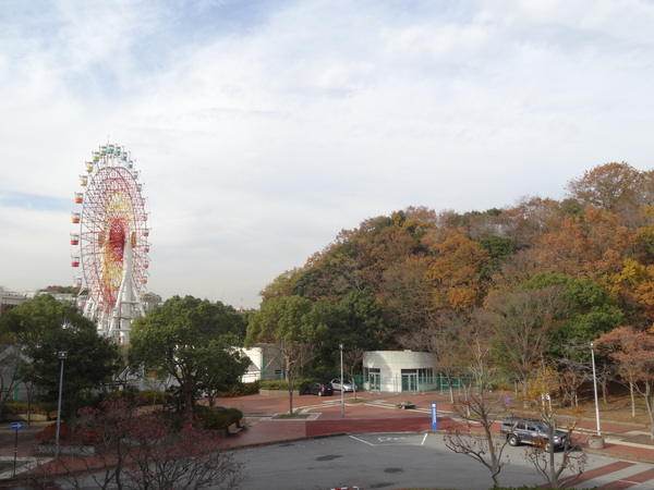 「動物公園」駅の紅葉がきれいです