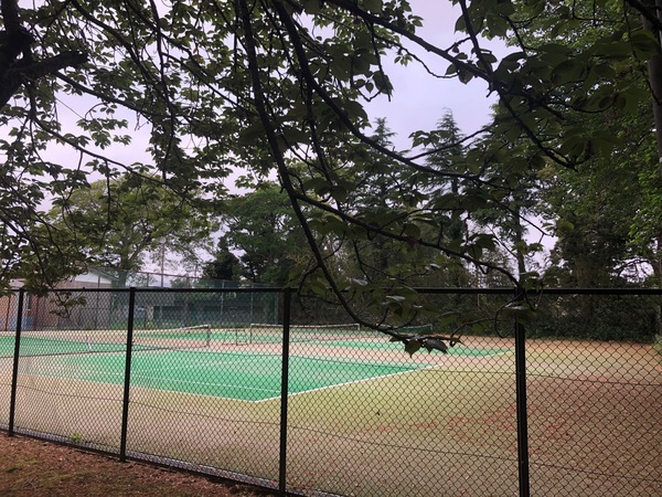 千葉キャンパス5月テニスコート