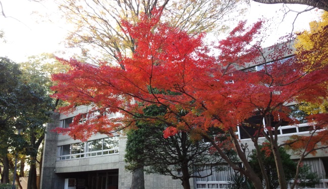 六号館前の風景