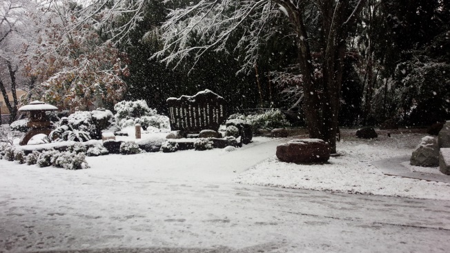 大学歌も雪帽子