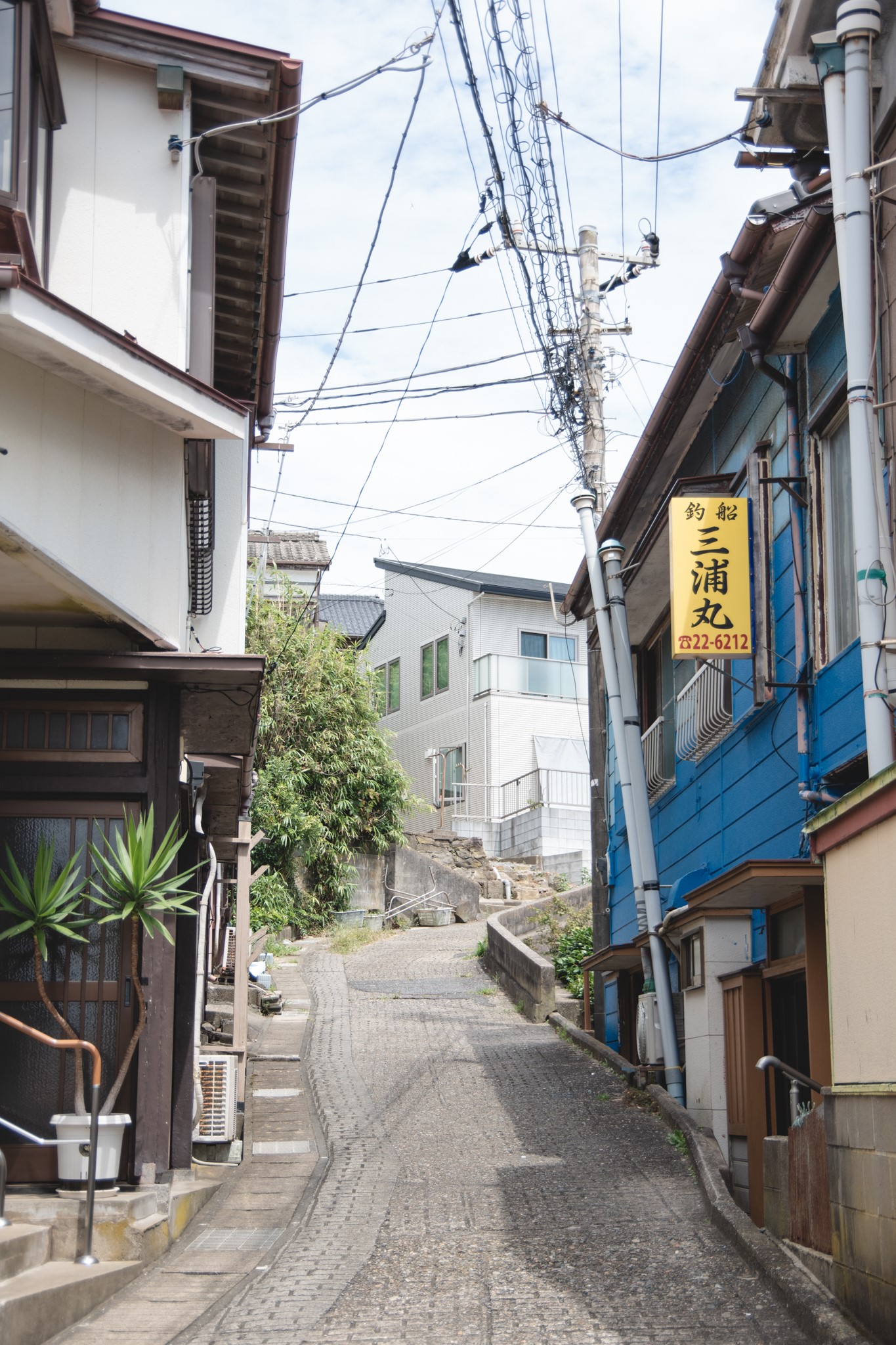 ①