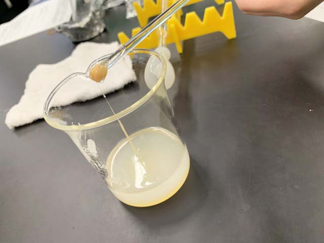 栄養学科の実験実習を覗いてみよう『基礎栄養学実験~鶏の肝臓のDNAを観察してみよう!~』05