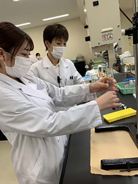 栄養学科の実験実習を覗いてみよう『基礎栄養学実験~鶏の肝臓のDNAを観察してみよう!~』03