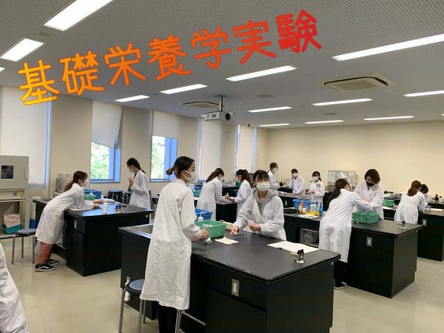 栄養学科の実験実習を覗いてみよう『基礎栄養学実験~鶏の肝臓のDNAを観察してみよう!~』01